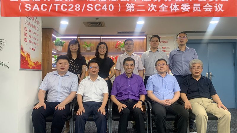 IT咨询服务标准流程：揭秘企业数字化转型的关键路径